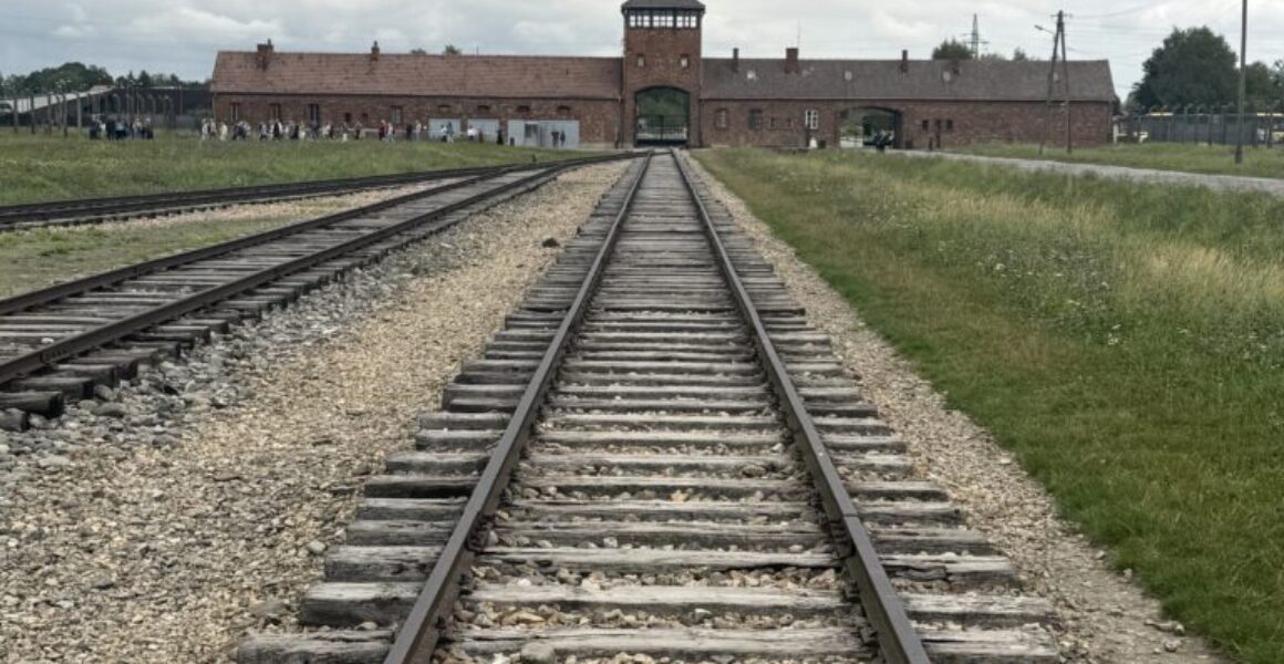 Schematic for the Holocaust